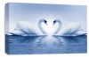Blue White Love heart kissing swans canvas wall art picture print