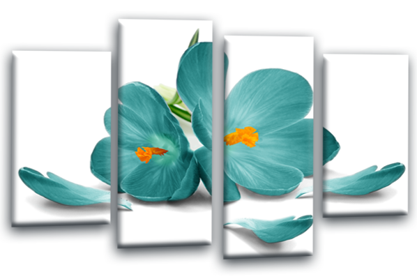 Teal white orange orchid flower floral canvas wall art picture print multi panel