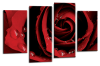 Red Open rose canvas wall art picture print multi panel