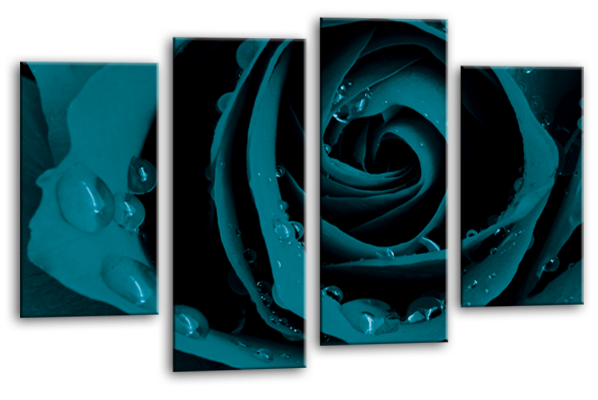 Teal Open rose canvas wall art picture print multi panel