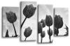 Grey Black white Tulips flowers canvas wall art picture print multi panel canvas wall art