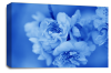 Floral Rose Wall Art Canvas Picture Blue