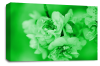 Floral Rose Wall Art Canvas Picture Green