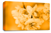 Floral Rose Wall Art Canvas Picture Orange