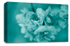 Floral Rose Wall Art Canvas Picture Teal