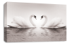 Grey Love heart kissing swans canvas wall art picture print