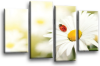 Teal white orange daisy flower floral canvas wall art picture print multi pane