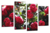 Teal white orange red roses flower floral canvas wall art picture print multi pane