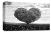 Grey Black White Love Heart Tree canvas wall art picture print