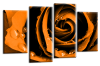 Orange Open rose canvas wall art picture print multi panel