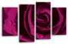 Purple Open rose canvas wall art picture print multi panel