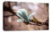 Floral Wall Art Picture Rose Print Duck Egg