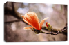 Floral Wall Art Picture Rose Print Orange