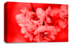 Floral Rose Wall Art Canvas Picture Red