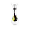 Svaja Glass Image